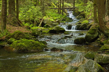 Wild river Bila Opava in Jeseniky, Czech Republic, Europe, Central Europe
