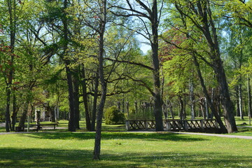 Fototapeta premium beautiful views of latvia