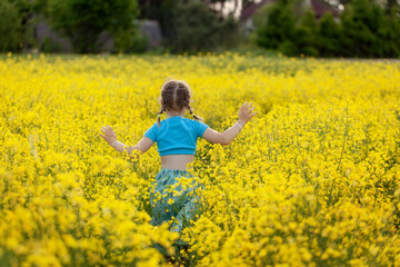 Fototapeta premium Cute little girl running through yellow rape flowewrs field. Girl in blue dress hands raised to side enjoys nature having fun jogging through meadow at sunny day. Back view.