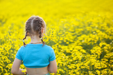 Fototapeta premium Cute little girl running through yellow rape flowewrs field. Girl in blue dress hands raised to side enjoys nature having fun jogging through meadow at sunny day. Back view.