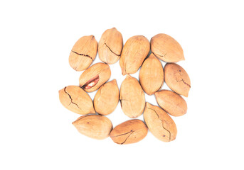 Pecan nut in shell