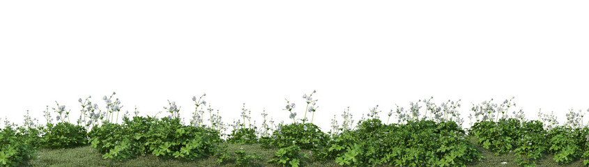 Obraz premium 3D render flowers and shrubs with white background