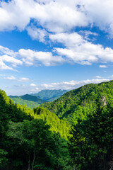 Fototapeta na wymiar 御荷鉾スーパー林道から見る山の風景