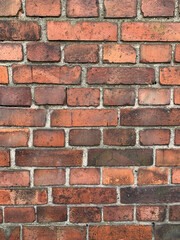 Obraz premium Red brick wall. Background, texture