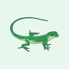 Green Lizard Vector Illustration, green lizard in the rainforest, green lizard pet illustration
