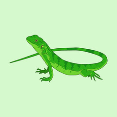 Green Lizard Vector Illustration, green lizard in the rainforest, green lizard pet illustration