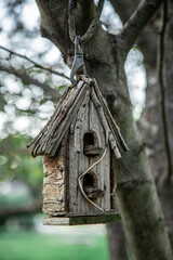 bird house on a tree