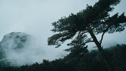 Obraz na płótnie Canvas Cloudy mountain landscape. Fantasy photography