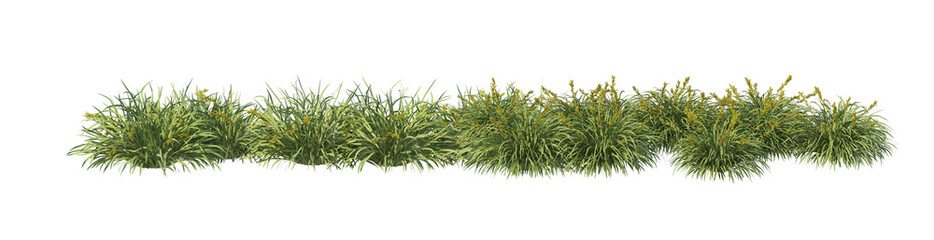 Fototapeta premium 3D render flowers and shrubs with white background