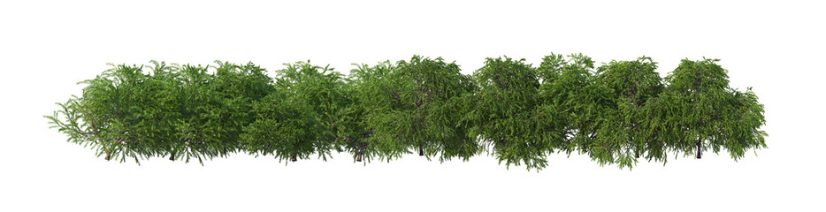 Obraz premium 3D render flowers and shrubs with white background