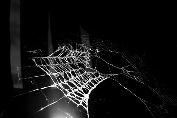 Triangle horror cobweb or spider web isolated on black background,horizontal photo