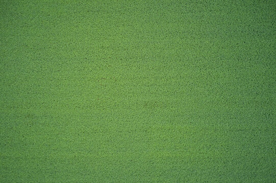 Green grass and top view. Green lawn texture background. Top view of natural grass.