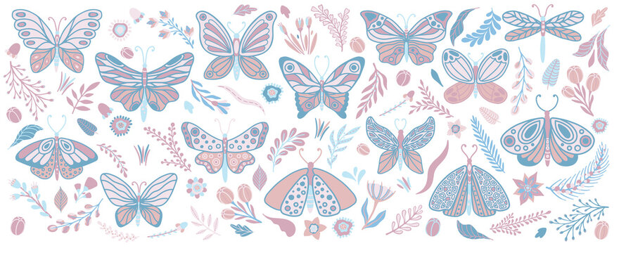 Set of butterflies and flowers. Design for packaging, label and greeting card.