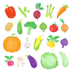 Set of colorful vegetables. In cartoon style. Isolated on white background. Vector flat illustration.