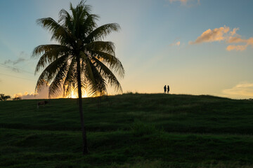 Paysage coucher de soleil Palmier Guadeloupe 