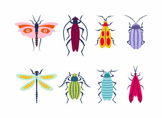 A set of different insects