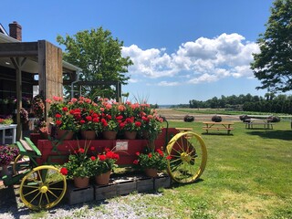 A Wagon with Flowers at a Farm Stand on Eastern Long Island, New York.