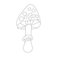 A Beautiful mushroom are too short