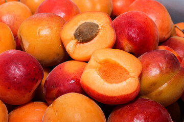 Lots of apricots. Fruit with a stone divided into 2 parts on the background of juicy apricots