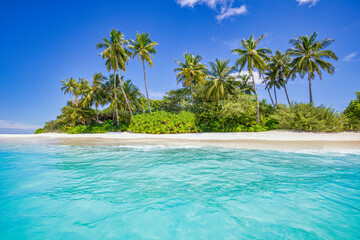 Best tropical beach landscape. Fantastic summer coast, vacation destination, palm trees, white...