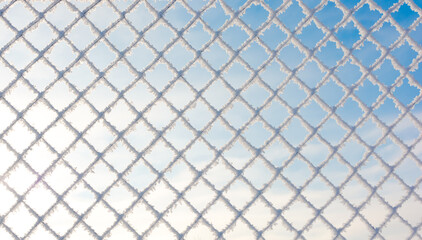 Winter background, frosty weather. The metal mesh is covered with frost. Under the bright sun against the blue sky.