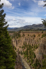 Red Rock Canyon and River in American Landscape. Yellowstone National Park. United States. Nature Background.