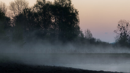 Brume matinale sur lac