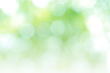 Fototapeta premium Green Leaf background. Blurred leaves and circular bokeh. Abstract wallpaper for backdrop and design
