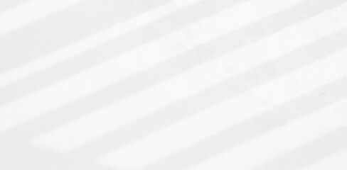 Obraz premium Abstract blurred background. The shadow reflection of leaves and gray light lines. on the white surface concrete wall. for wallpaper, backdrop and design.