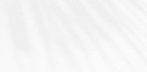 Obraz premium Abstract blurred background. The shadow reflection of leaves and gray light lines. on the white surface concrete wall. for wallpaper, backdrop and design.