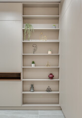 Fototapeta na wymiar wardrobe and shelves with decor in the room in a modern style