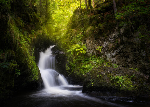 Ravenna Gorge