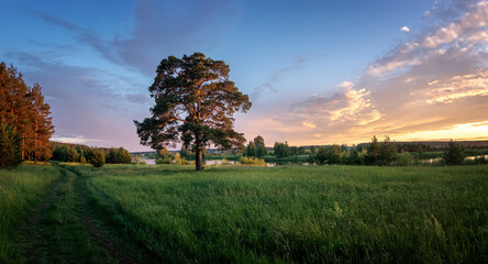 Fototapeta na wymiar evening landscape in Russia in June, Ural
