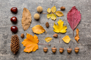 Autumn composition. Pattern made of dried leaves and other design accessories on table. Flat lay, top view