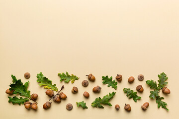 Branch with green oak tree leaves and acorns on colored background, close up top view © sosiukin