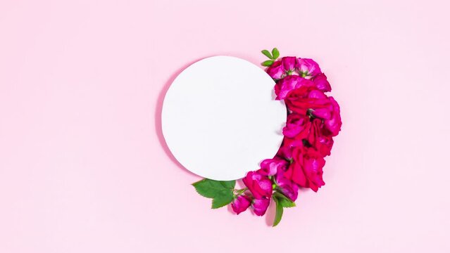 4k  Brush draws a semicircle of natural red rose buds. Near white circle, template for greeting card text. Light pink background. Stop motion animation. Copy space. Flat lay. Holiday concept.