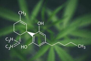Cannabidiol (CBD), cannabis molecule isolated from green leaf background. cannabis or hemp or marijuana chemical formula.
