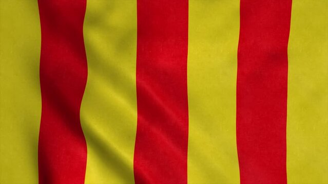 County of Foix flag, France, waving in the wind, background