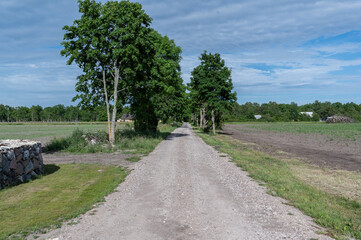 road in the countryside