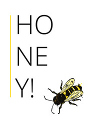 Vector abstract illustration. Banner design on the theme of honey. Natural product