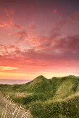 Aluminium Prints Coral Sunset on the west coast of Jutland - Lokken Beach, Denmark. Beautiful landscape with lush grass waving in the wind during sunset or over a ocean with red, orange, blue, and yellow colors in the sky