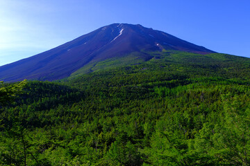 20220627富士山吉田口4合目～5合目奥庭からの朝の富士山