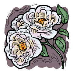 Beautiful roses with leaves. Romantic bohemian flowers  bouquet decorative element for birthday party postcard, wedding celebration invitation. Hand drawn illustration. Retro vintage style drawing. 