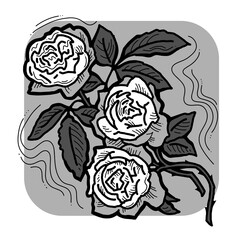 Beautiful roses with leaves. Romantic bohemian flowers  bouquet decorative element for birthday party postcard, wedding celebration invitation. Hand drawn illustration. Monochrome style drawing. 