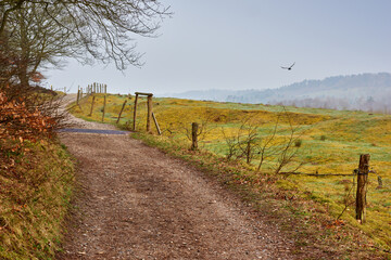 Fototapeta na wymiar Landscape of a winding dirt road and path in a remote farm land and countryside in Germany. Serene and peaceful country lane leading into the hills of lush green fields. Scenic view of nature at dawn