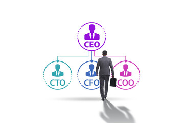 Illustration of organisation chart with various executives