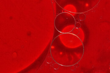 Selective close-up focus of a petri dish with blood. The concept of developing pharmaceutical drugs...