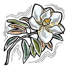 Beautiful spring flowers magnolia with green leaves. Decorative element for post card, print, poster. Wedding blooms to save the date. Hand drawn bohemian retro style illustration. Line art drawing. 