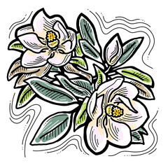 Beautiful spring flowers magnolia with green leaves. Decorative element for post card, print, poster. Wedding blooms to save the date. Hand drawn bohemian retro style illustration. Line art drawing. 