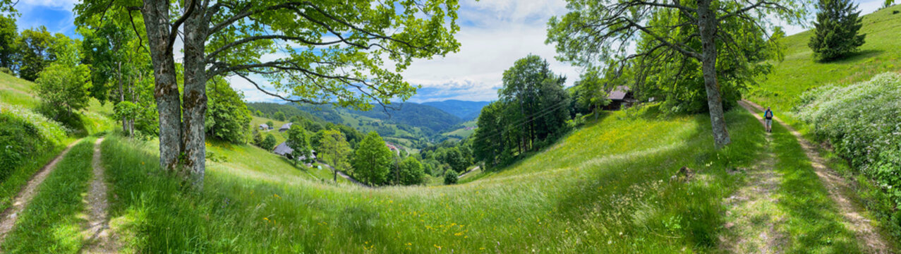 รูปภาพWanderweg – เลือกดูภาพถ่ายสต็อก เวกเตอร์ และวิดีโอ128,329 | Adobe ...